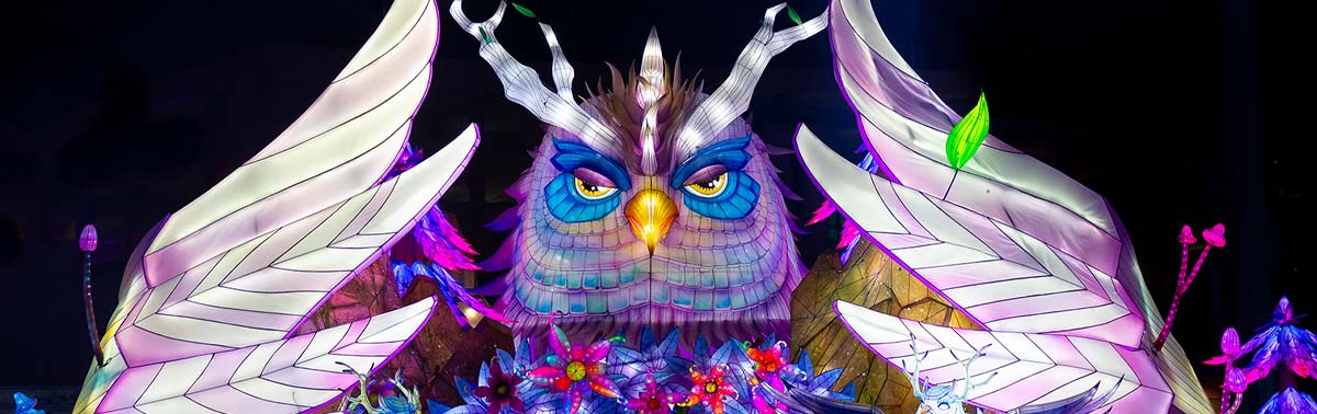 owl lantern at Boston Lights event