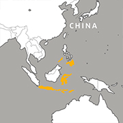 black-naped fruit dove range map