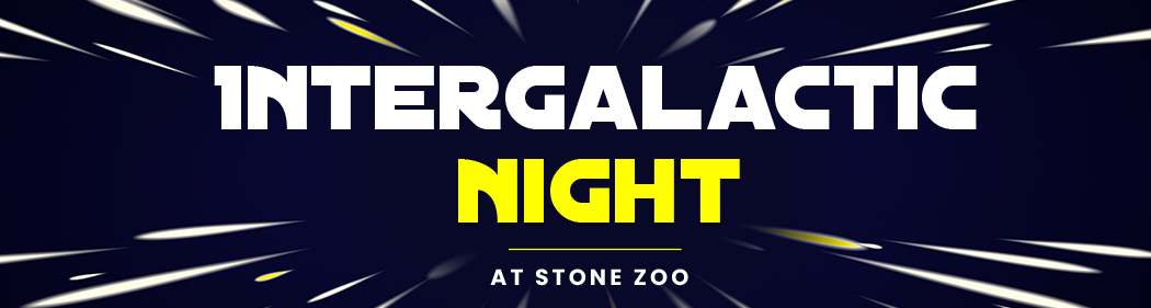 interstellar background with the words Intergalactic Night at Stone Zoo 