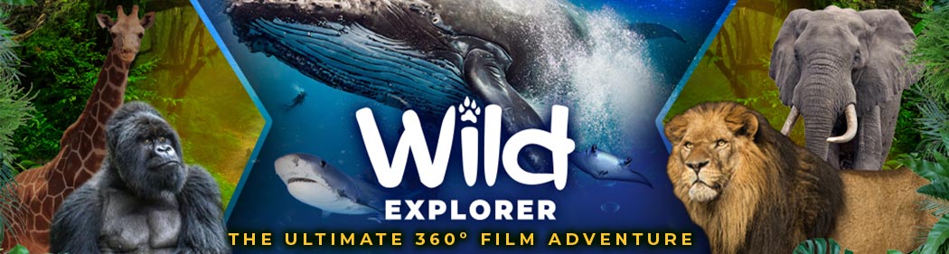 montage of virtual reality footage, including gorillas, whales, and Safari animals