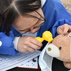 verterinarian gives bear a checkup