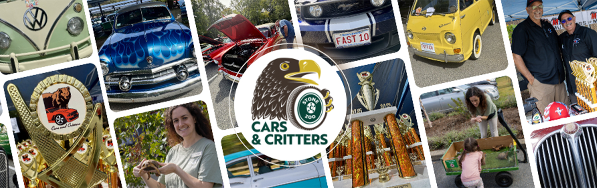 montage of car images from Cars & Critters event