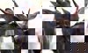 lowland nyala