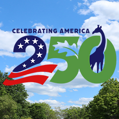 America 250 Logo Box