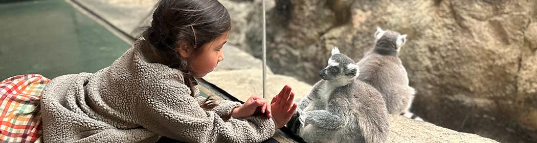 child with lemur